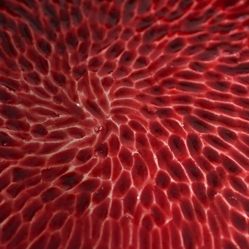 Radial red cellular pattern